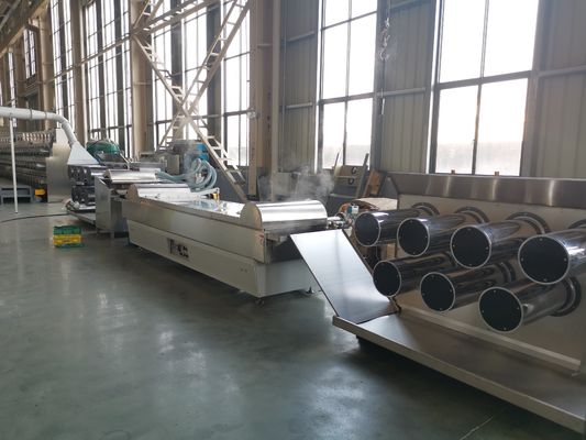 Купить украшение сада машины штрангпресса нейлона 55kw 6400 Dtex online manufacture